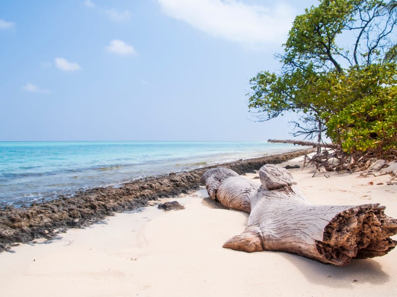 Fulhadhoo beach