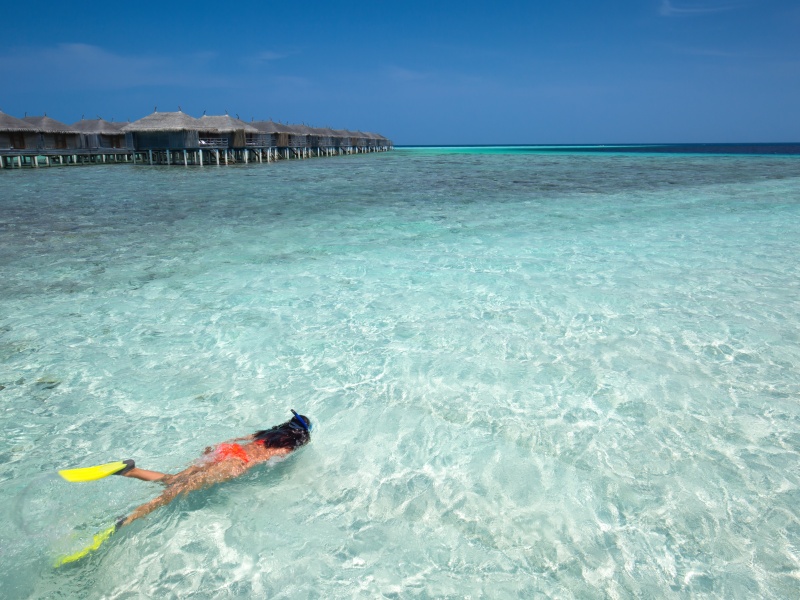Snorkeling alone in Maldives