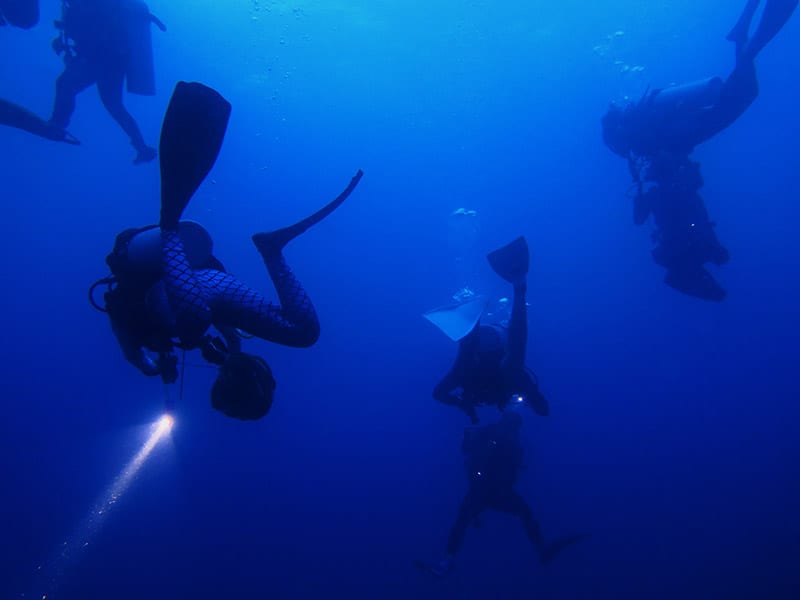 Blackwater diving in the Maldives