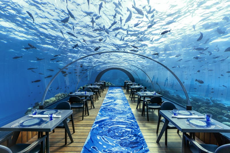 Hurawalhi 5.8 underwater restaurant in the Maldives - Interior