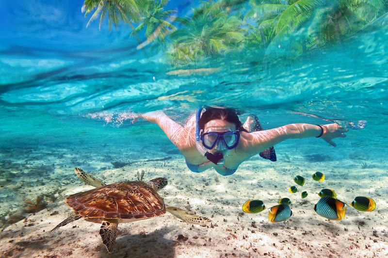 Snorkeling by the coral reef at Addu Park, Maldives