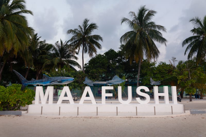 Best Places to Eat in Maafushi