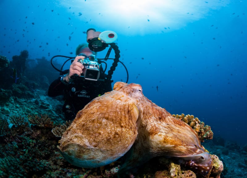 Equipment for Diving in the Maldives