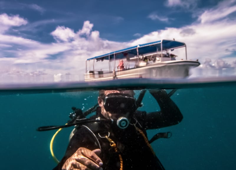 Exploring Hard To Reach Diving Spots with Liveaboards in Maldives