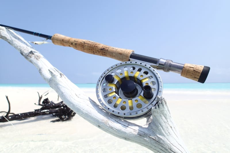 Fishing in the Maldives