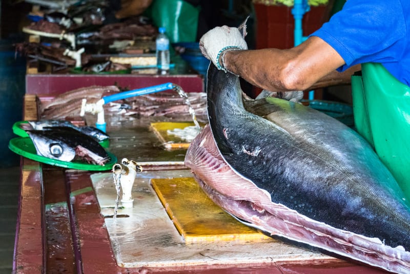 Visiting the Fish Market in Male, Maldives