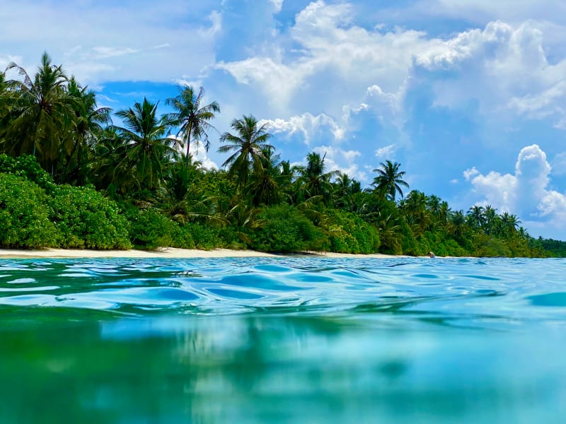 80% of Dhigurah is covered in trees and green plants