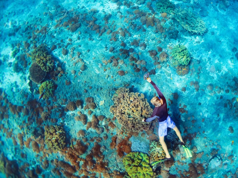 A tourist swims over corals making sure not to step on them