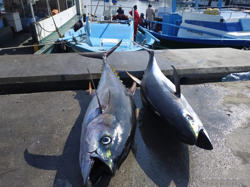 Fresh fish at Fuvahmulah island in the Maldives