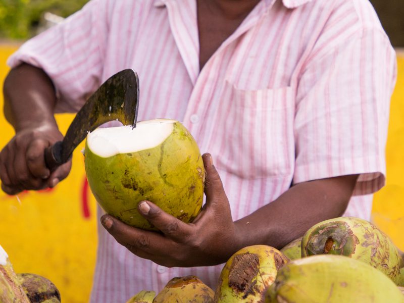 Fresh coconut water in the Maldives