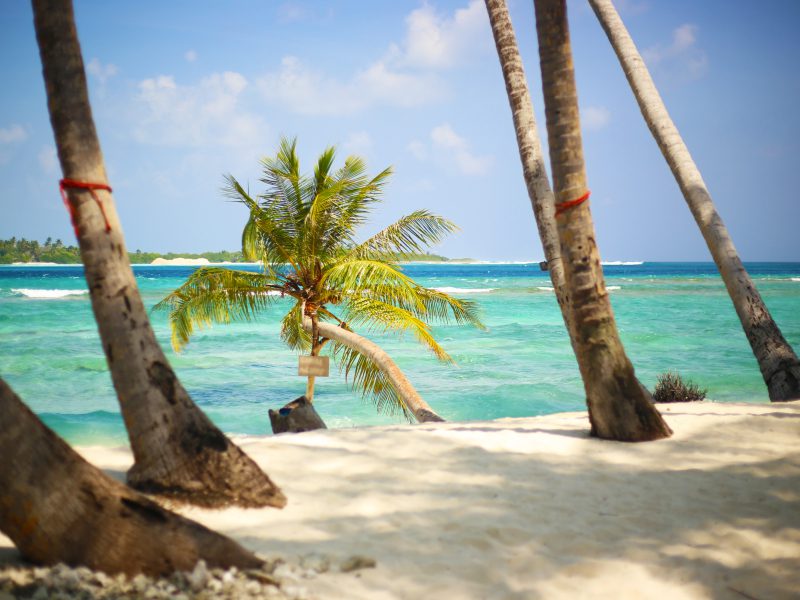 Bikini Beach in Thulusdhoo island Maldives