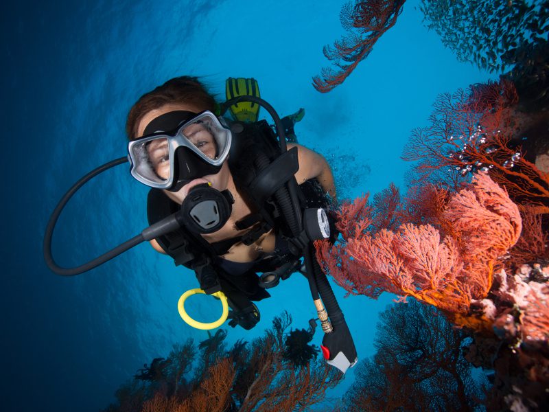 Diving around Rasdhoo, Maldives