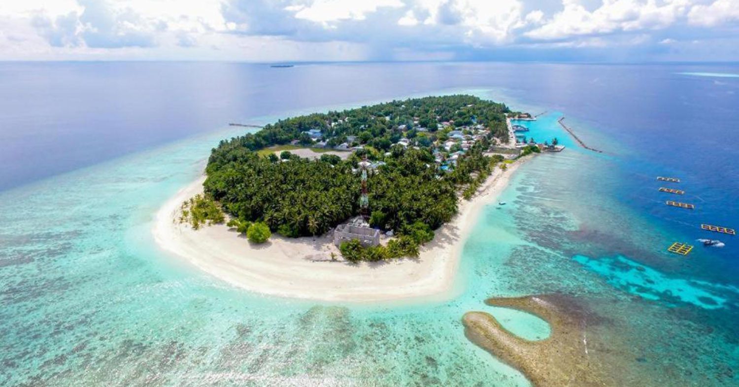 Green Leaf Omadhoo